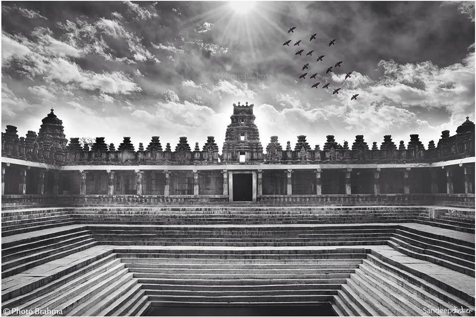 Photo Brahma